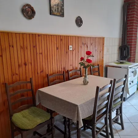 Apartament House-apartments Ela -mirca- Family Mirce